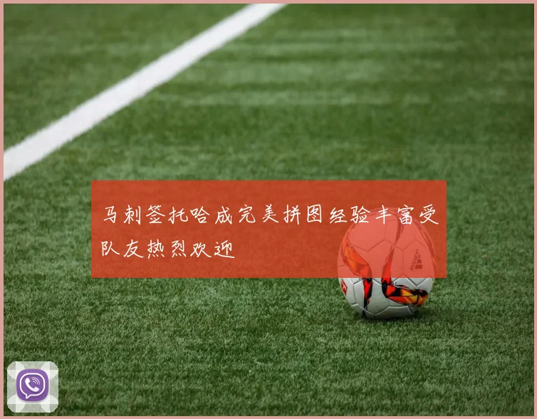 马刺签托哈成完美拼图经验丰富受队友热烈欢迎